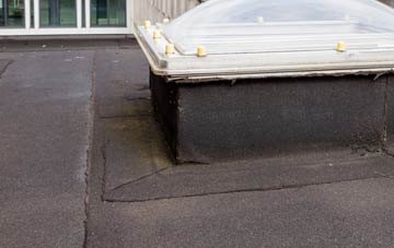 disadvantages of Buck Hill flat roofs