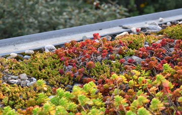the cost of Buck Hill green roof installation