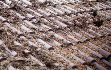 Buck Hill roof cleaning companies