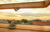 rated Buck Hill roof window companies